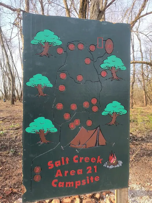 Salt Creek Area 21 Campsite Picture 4