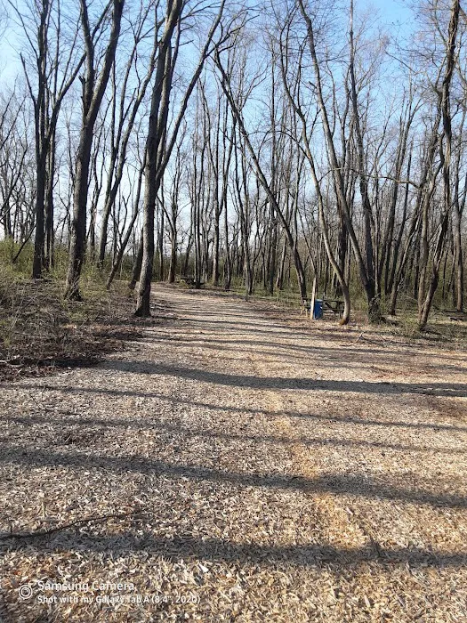 Salt Creek Area 21 Campsite Picture 7