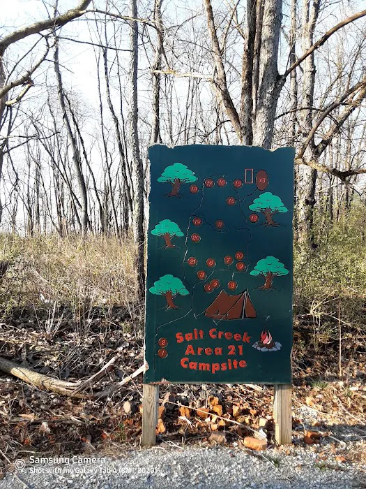 Salt Creek Area 21 Campsite Picture 2