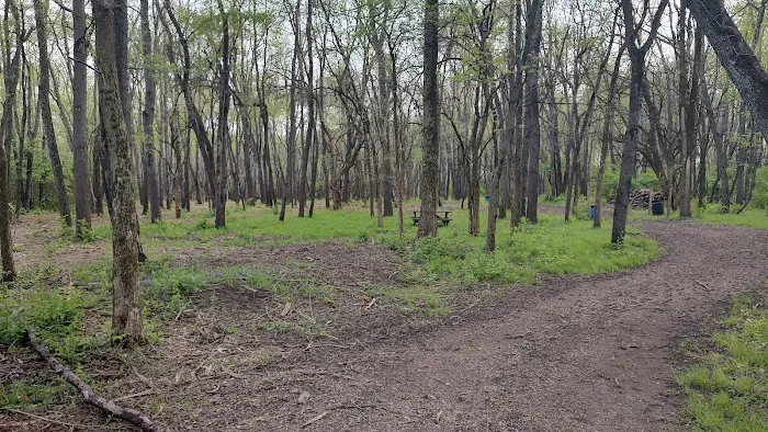 Salt Creek Area 21 Campsite Picture 6