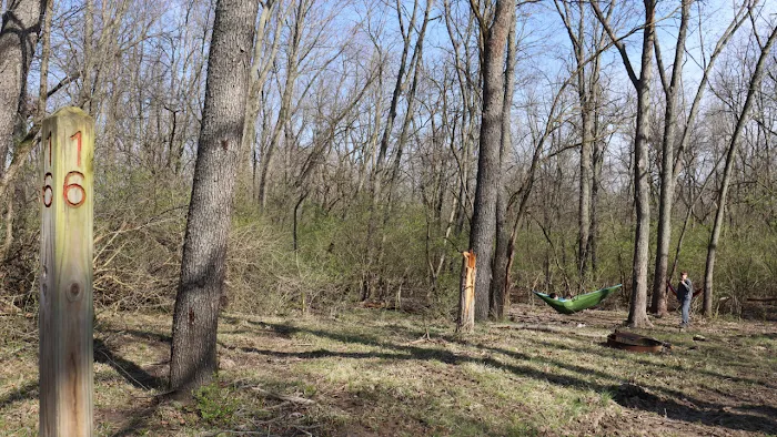 Salt Creek Area 21 Campsite Picture 8