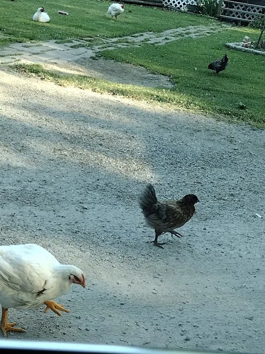 Wildwood Campground Picture 4