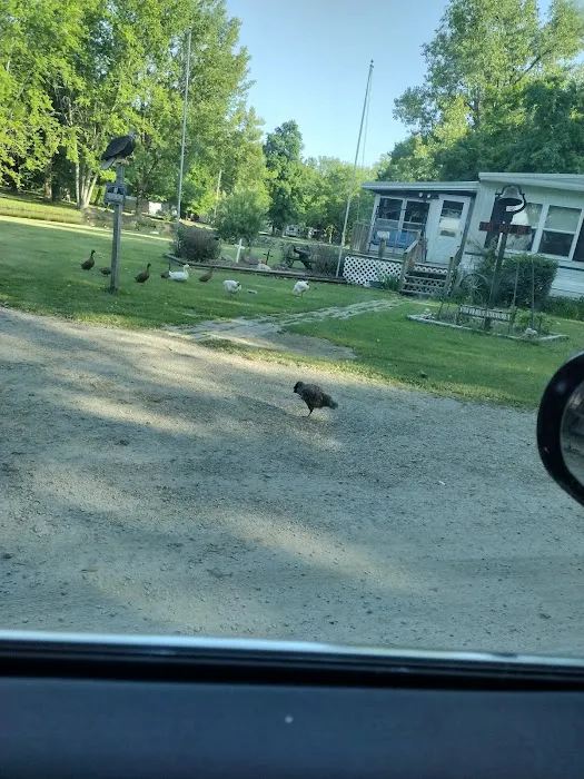 Wildwood Campground Picture 3