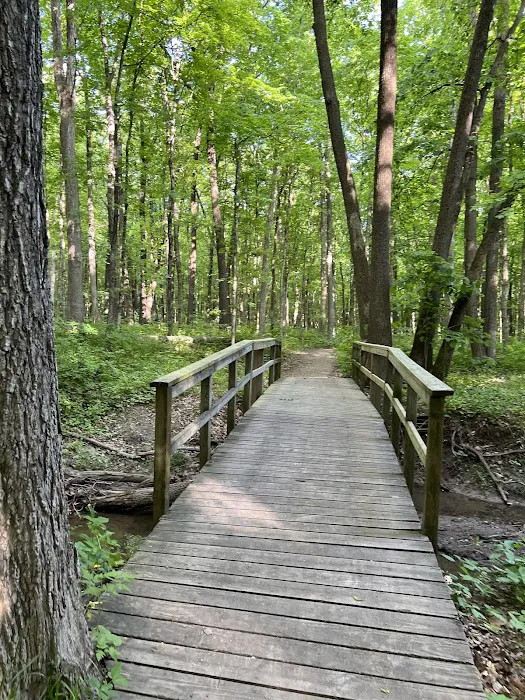 Gander Bay Campground Picture 5