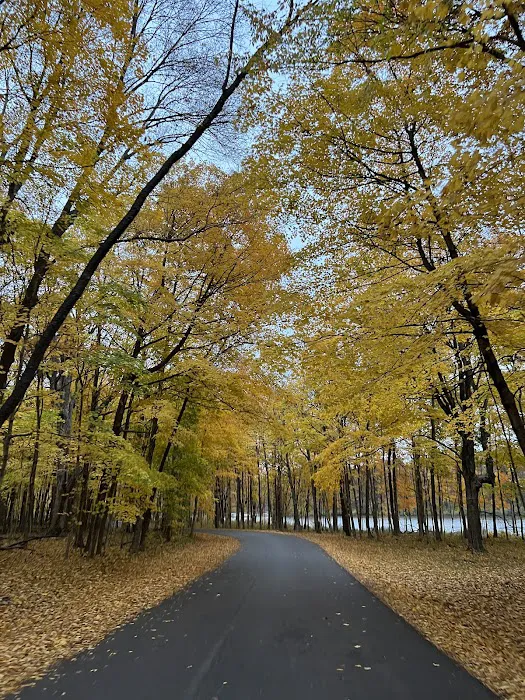 Gander Bay Campground Picture 9