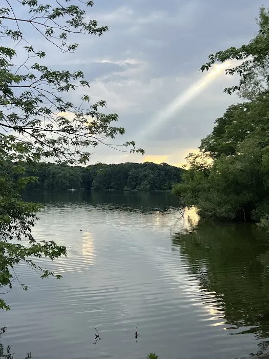 Gander Bay Campground Picture 2