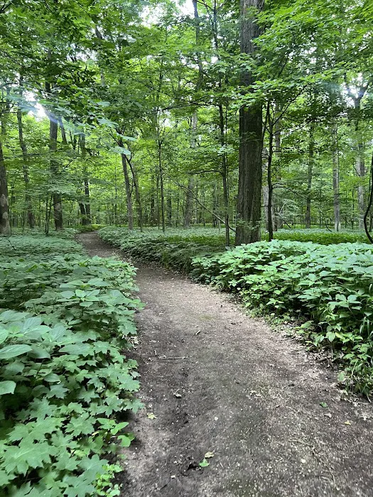 Gander Bay Campground Picture 4