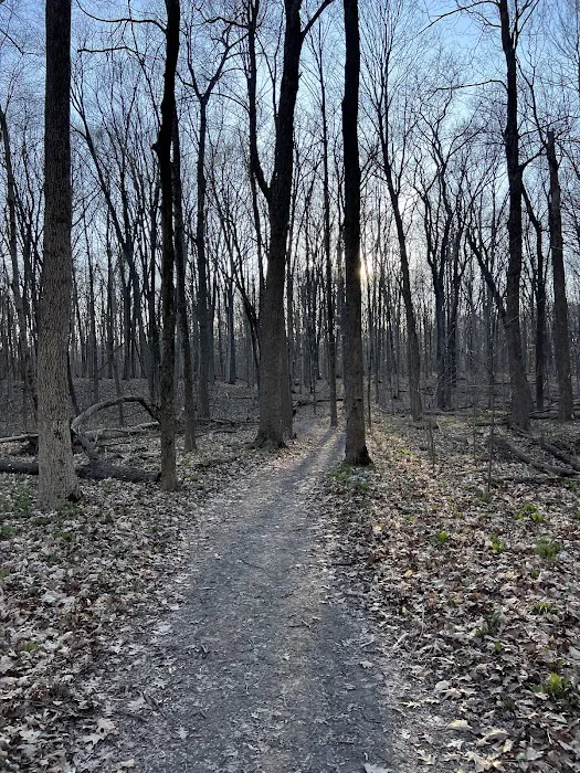 Gander Bay Campground Picture 10