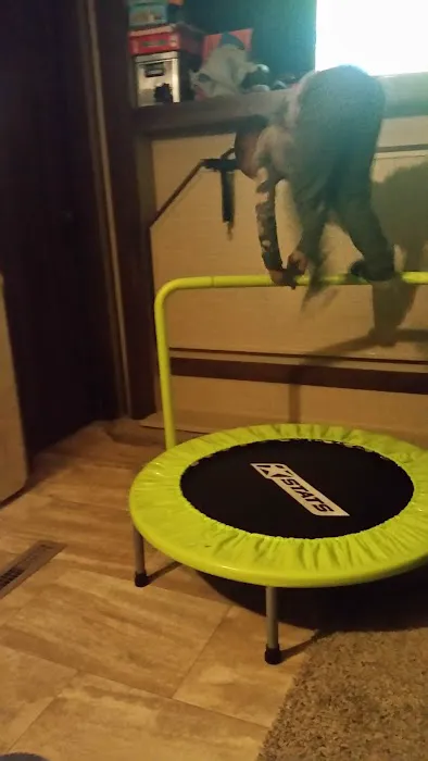 21 Guns Campground Picture 6