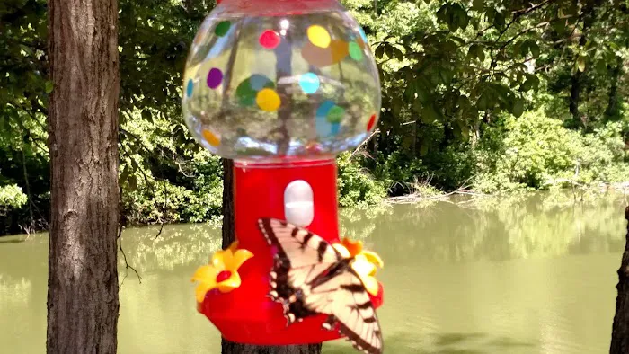 21 Guns Campground Picture 5