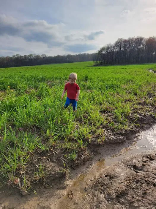 Saint Francisville Riverside Park & Campground Picture 7