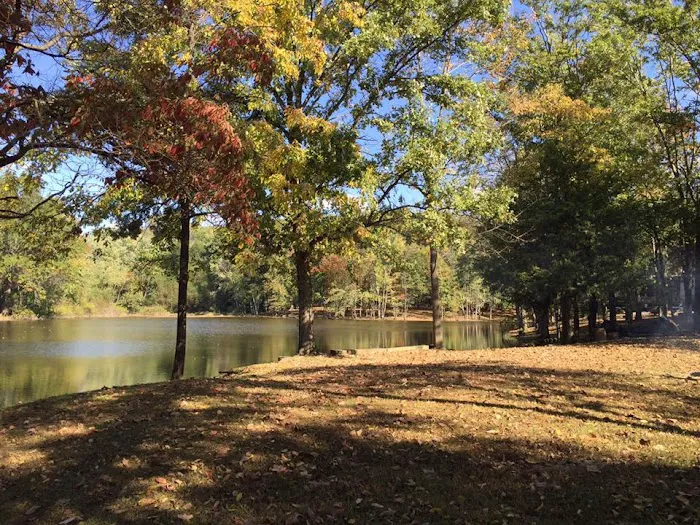 Taylor Lake Campground Picture 3