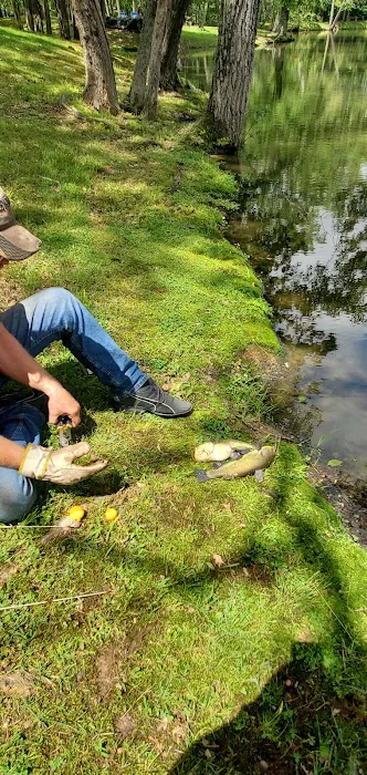 Taylor Lake Campground Picture 1