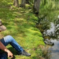 Taylor Lake Campground ico