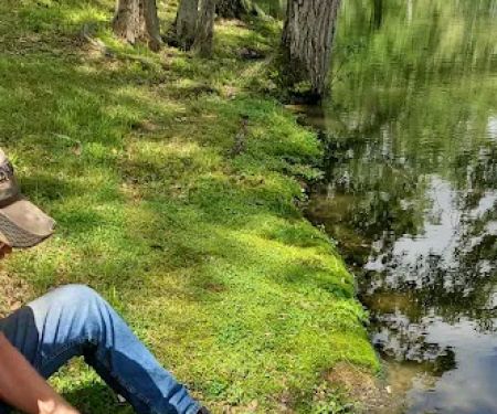 Taylor Lake Campground