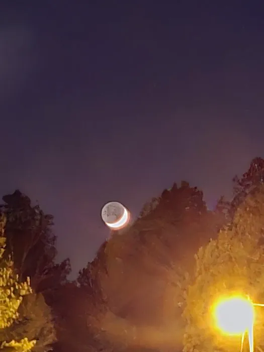 Horseshoe Acres Campground Picture 2