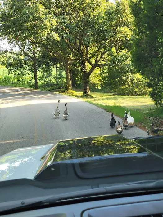 Horseshoe Acres Campground Picture 6