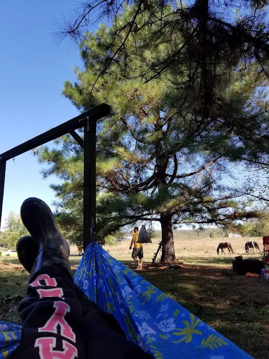 Horseshoe Acres Campground Picture 10