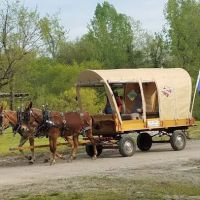 Bryan Lake Campgrounds ico