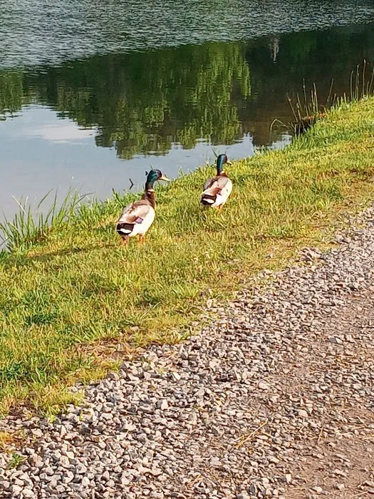 Bryan Lake Campgrounds Picture 3