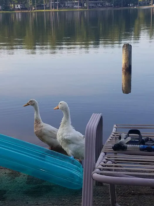 Bryan Lake Campgrounds Picture 2