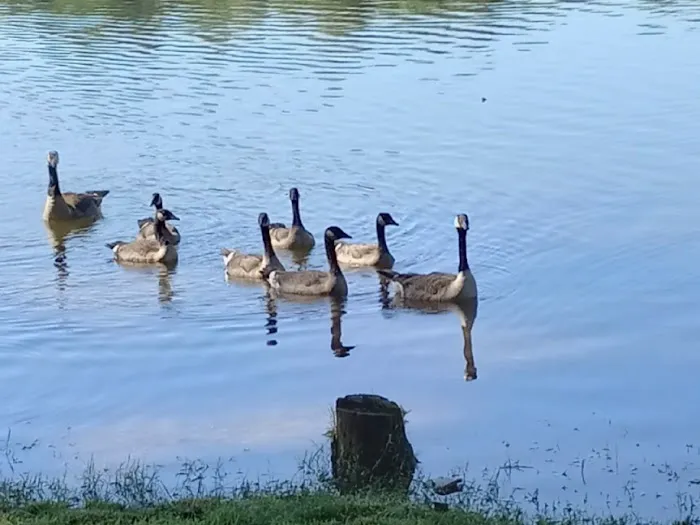 Bryan Lake Campgrounds Picture 7