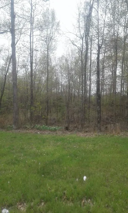 Bryan Lake Campgrounds Picture 8