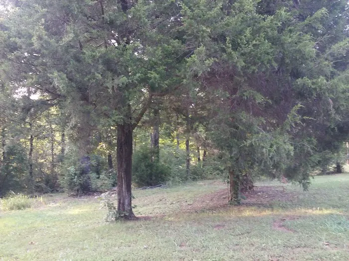 Bryan Lake Campgrounds Picture 9