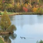 Twin Island Trail LLC