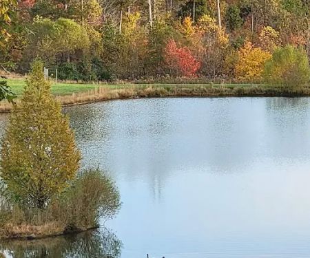 Twin Island Trail LLC