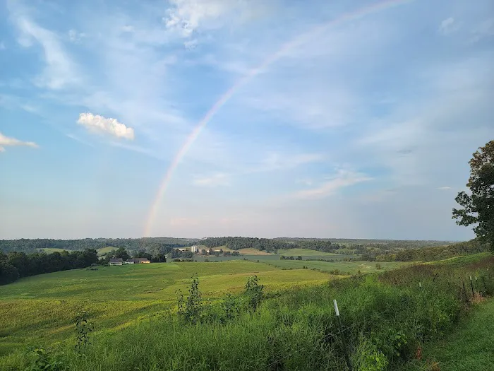 Twin Island Trail LLC Picture 4