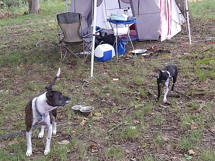 Hilltop Campgrounds Picture 8