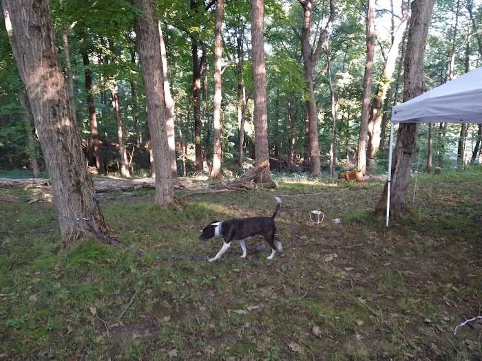 Hilltop Campgrounds Picture 6