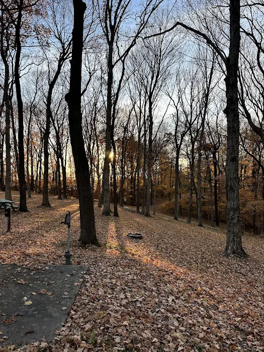 Hilltop Campgrounds Picture 3