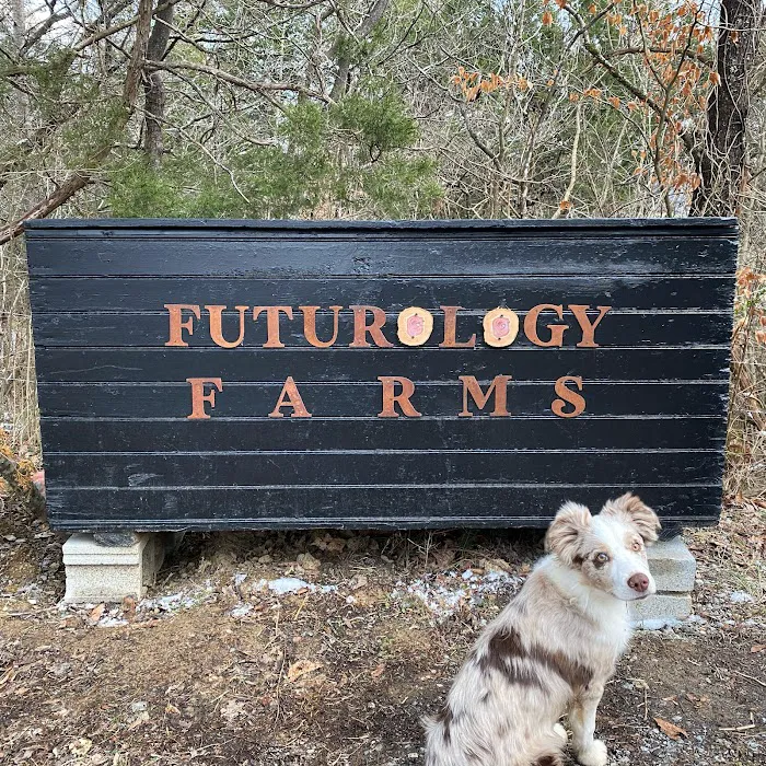 Futurology Farms Picture 3