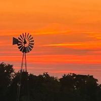 Circle L Campsites & Stables ico