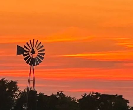 Circle L Campsites & Stables