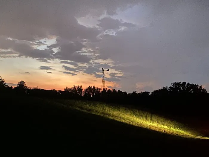 Circle L Campsites & Stables Picture 4