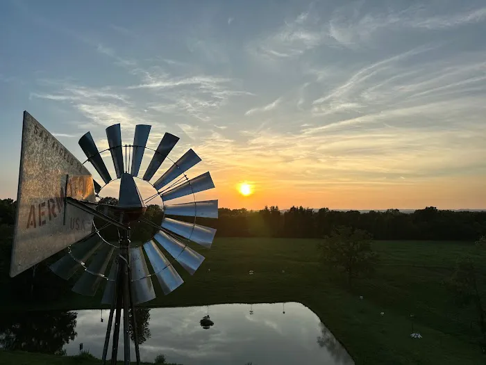 Circle L Campsites & Stables Picture 8