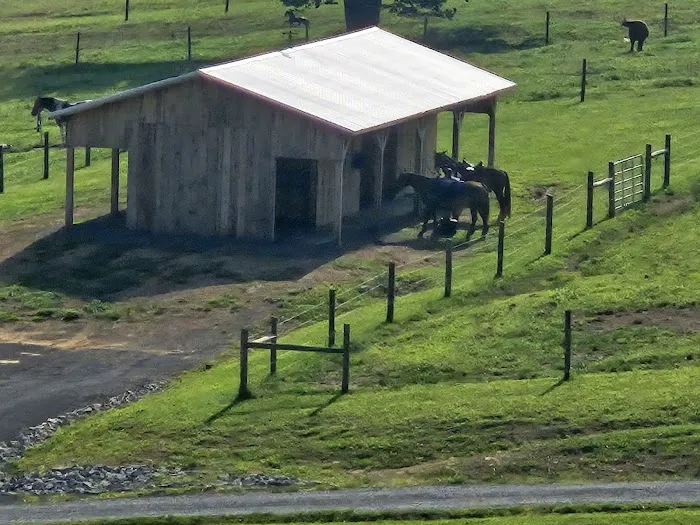 Circle L Campsites & Stables Picture 9