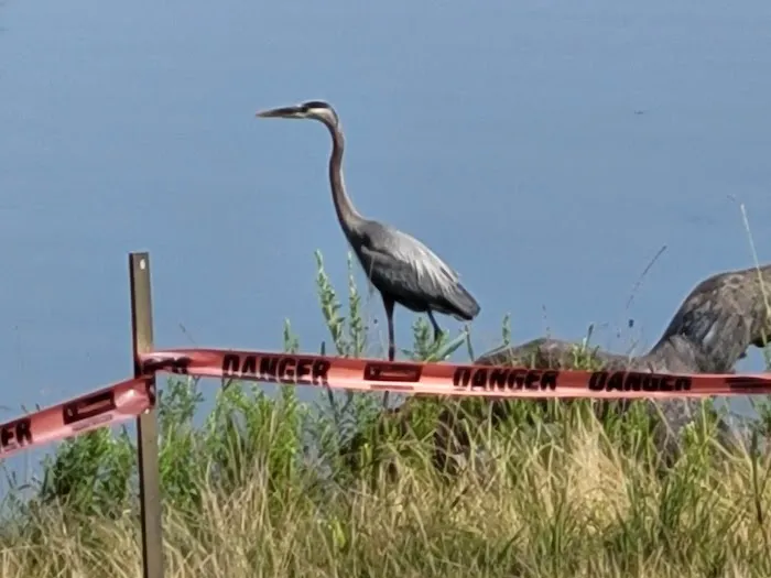 Duck Head campsite Picture 1