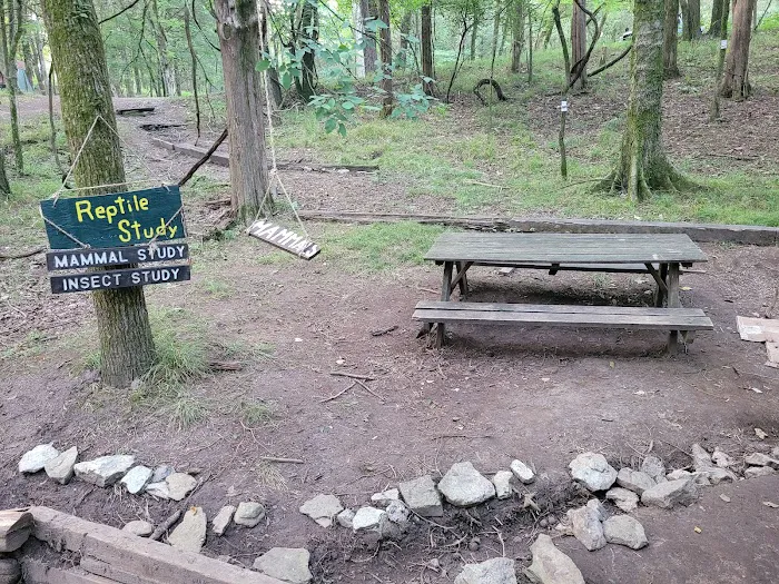 Craig Conservation Yard Picture 8