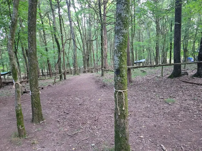Craig Conservation Yard Picture 3