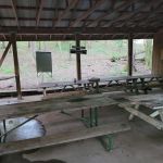 Craig Conservation Yard