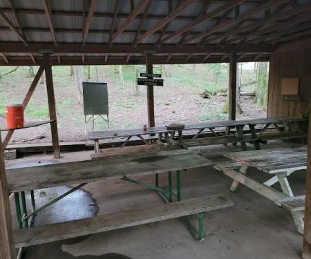 Craig Conservation Yard