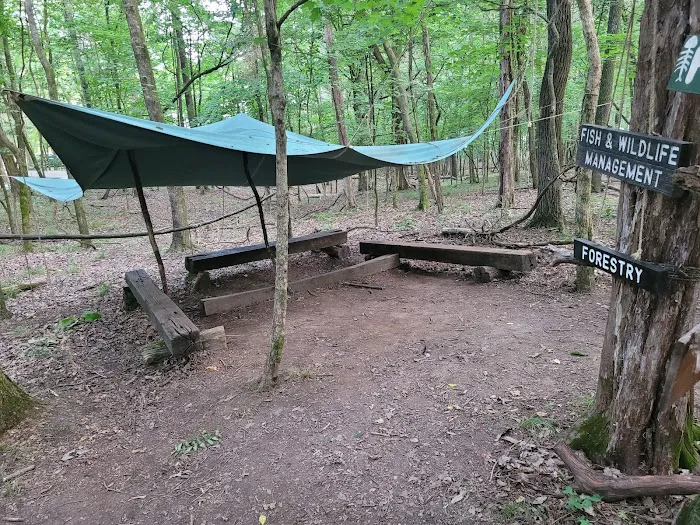 Craig Conservation Yard Picture 4
