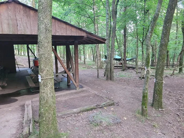 Craig Conservation Yard Picture 10