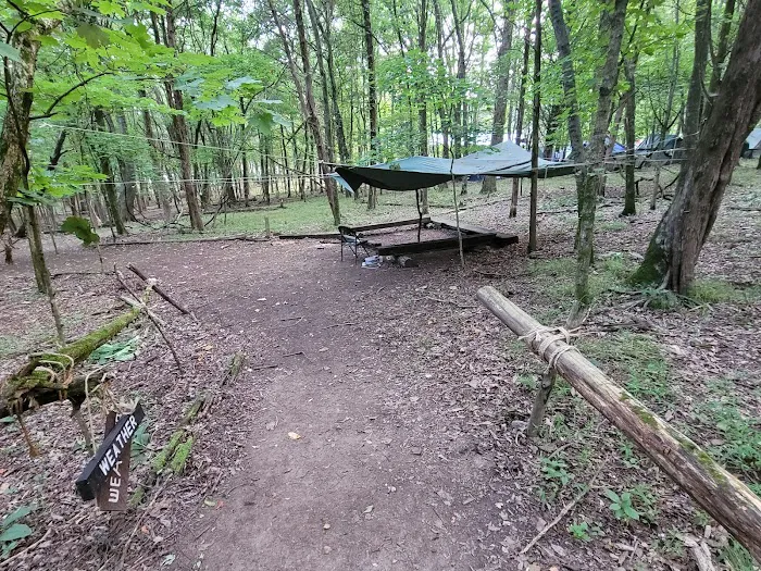 Craig Conservation Yard Picture 5