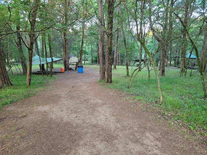 Craig Green Bar Yard Picture 4