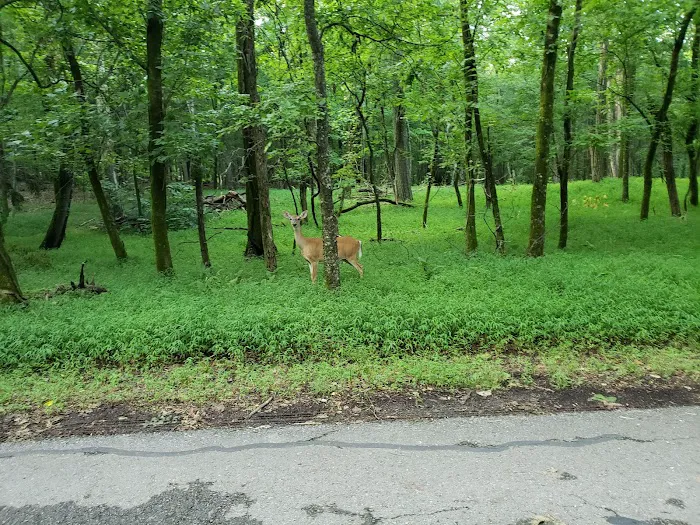 Boxwell Reservation Picture 10